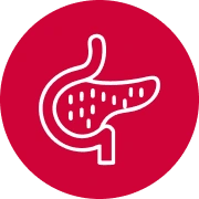 Pancreatic cancer icon